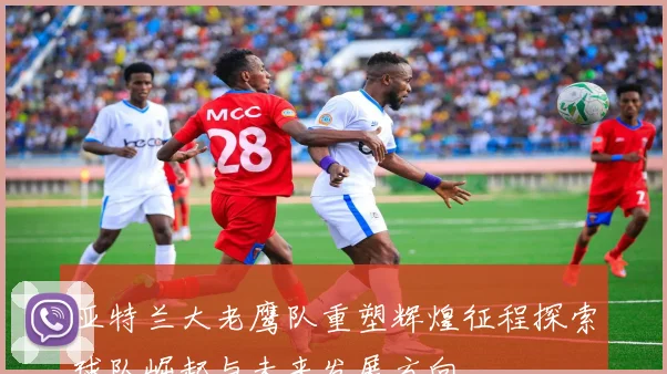 亚特兰大老鹰队重塑辉煌征程探索球队崛起与未来发展方向