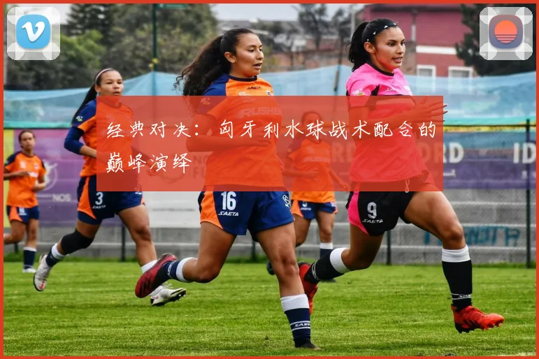 经典对决：匈牙利水球战术配合的巅峰演绎