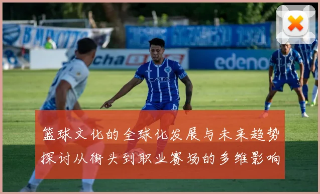 篮球文化的全球化发展与未来趋势探讨从街头到职业赛场的多维影响